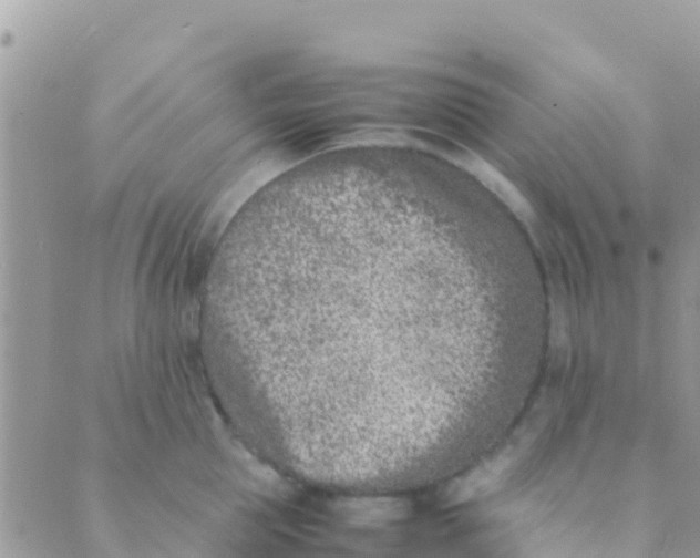 X0000089430953200707061340