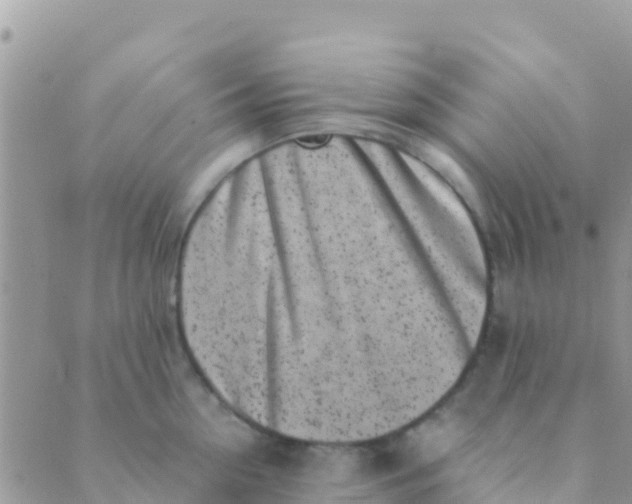 X0000089430954200707061340