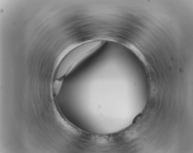 X0000089430955200707061340