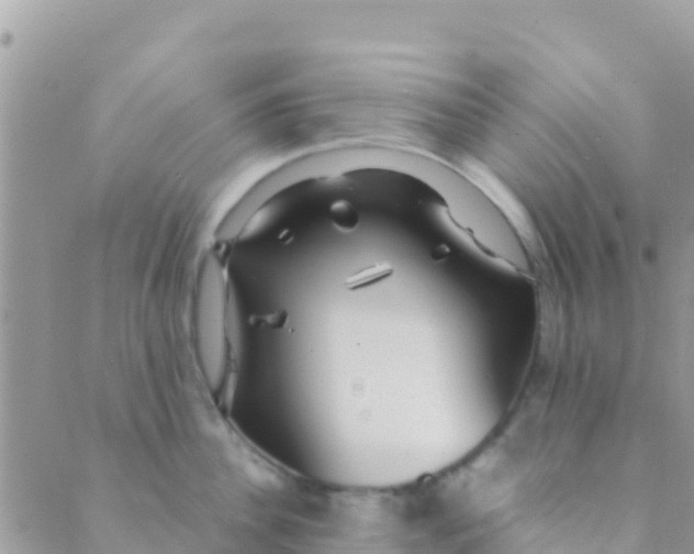 X0000089430956200707061340