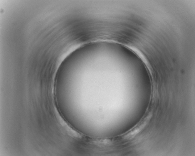 X0000089430957200707061340