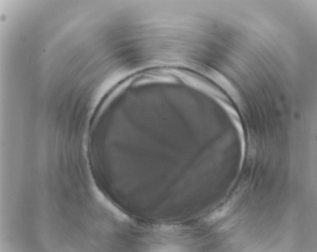 X0000089430958200707061340