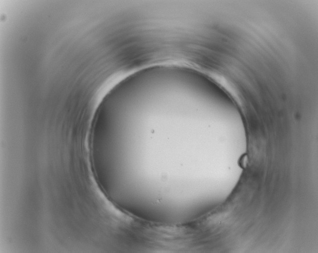 X0000089430959200707061340