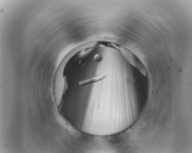 X0000089430960200707061340