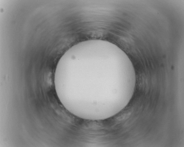 X0000089430962200707061339