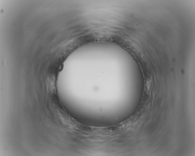 X0000089430963200707061339