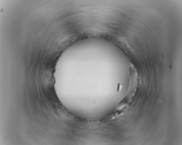 X0000089430964200707061339