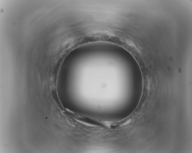 X0000089430965200707061339