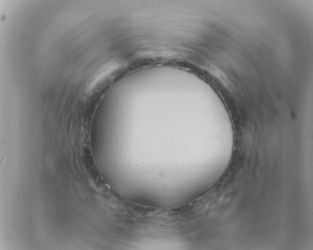 X0000089430967200707061339