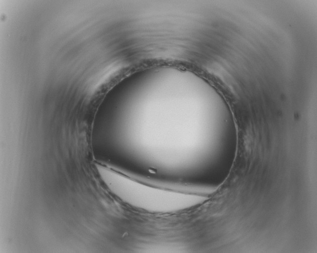 X0000089430968200707061339