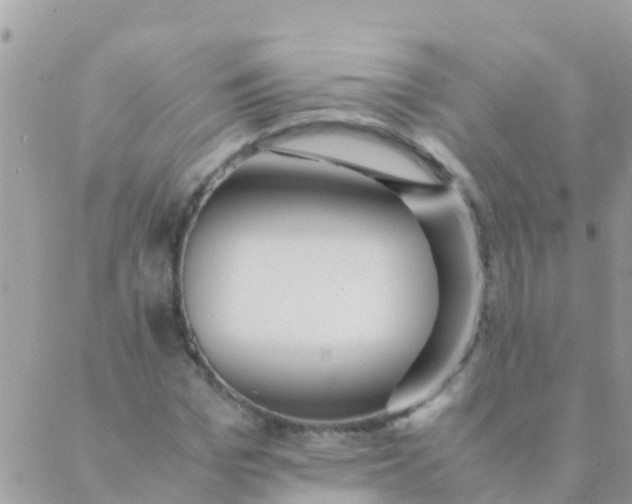 X0000089430969200707061339