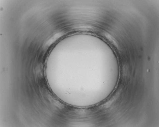 X0000089430970200707061339