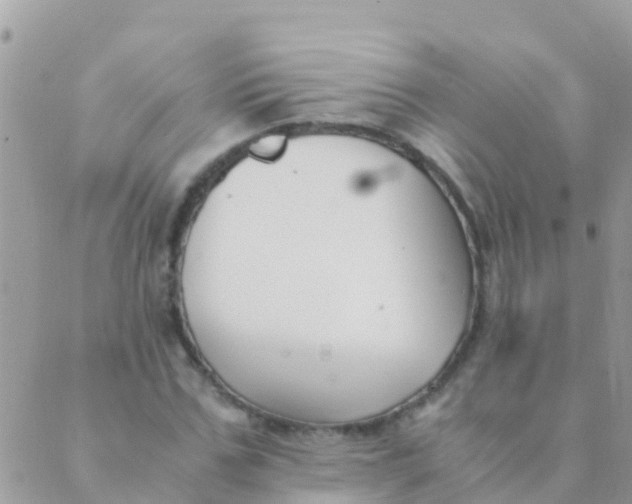 X0000089430971200707061339