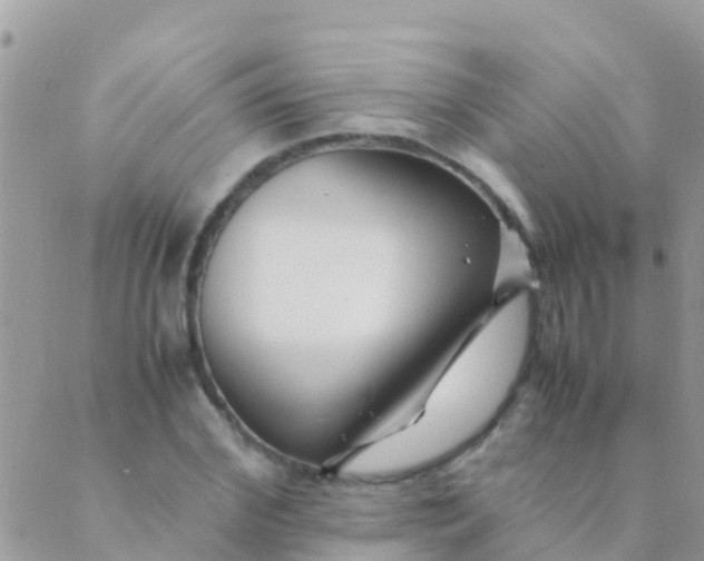 X0000089430972200707061339