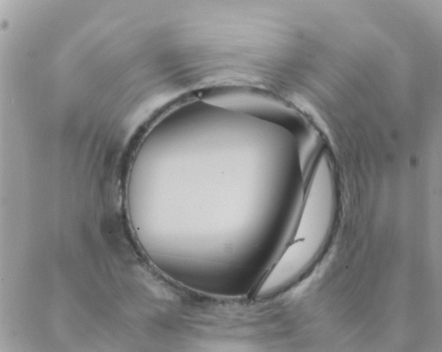 X0000089430973200707061339