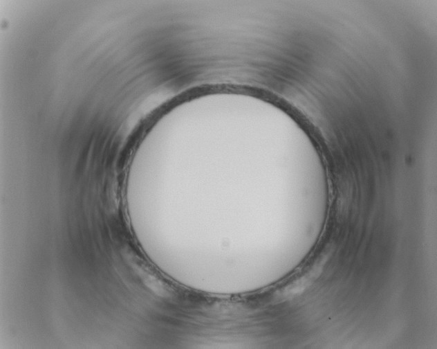 X0000089430974200707061339