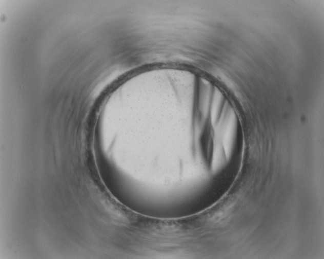 X0000089430975200707061339