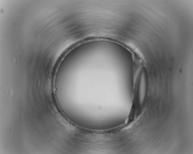 X0000089430976200707061339