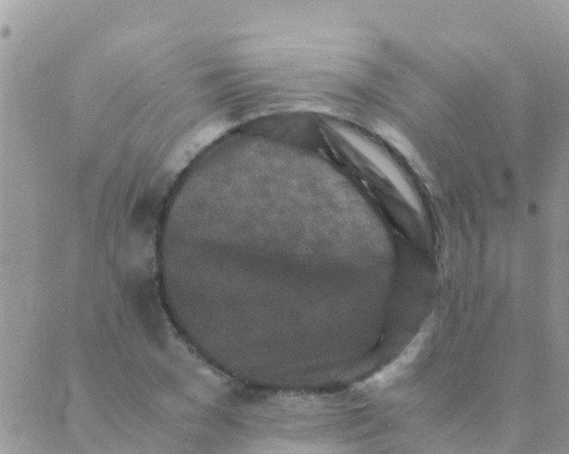 X0000089430977200707061339