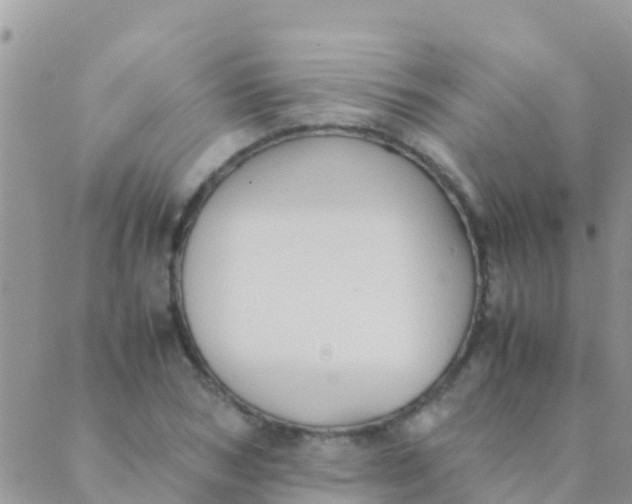 X0000089430978200707061339