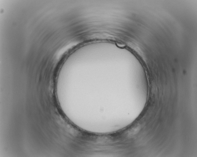 X0000089430979200707061339