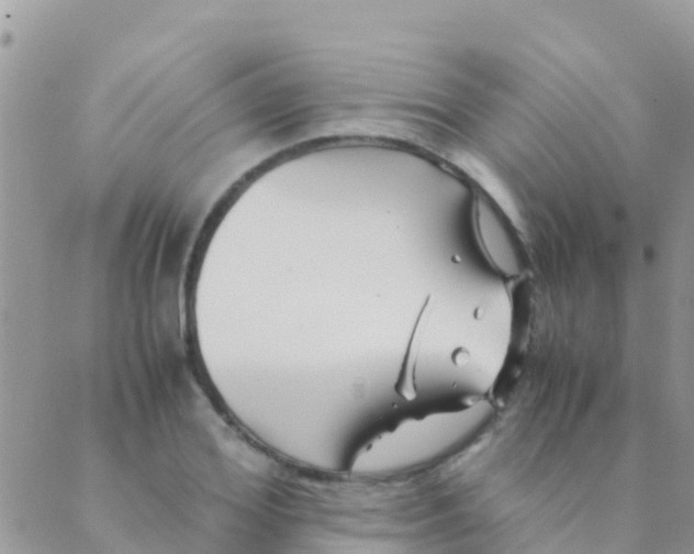 X0000089430980200707061339