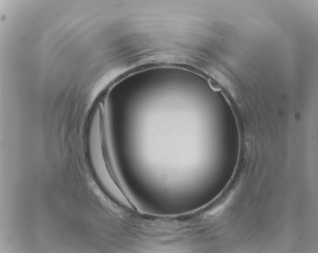 X0000089430981200707061339