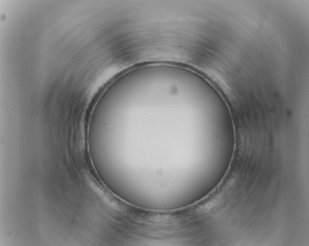 X0000089430982200707061339