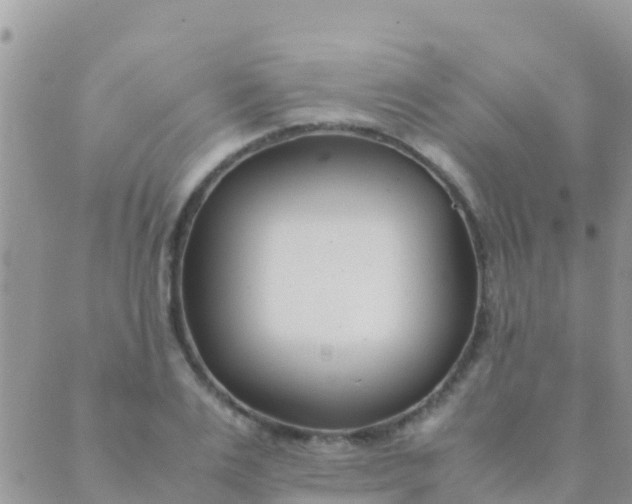 X0000089430983200707061339