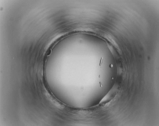 X0000089430984200707061339