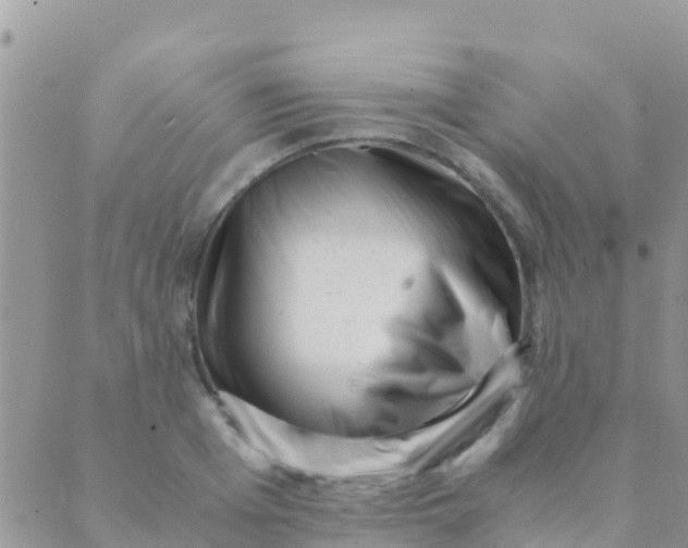 X0000089430985200707061339