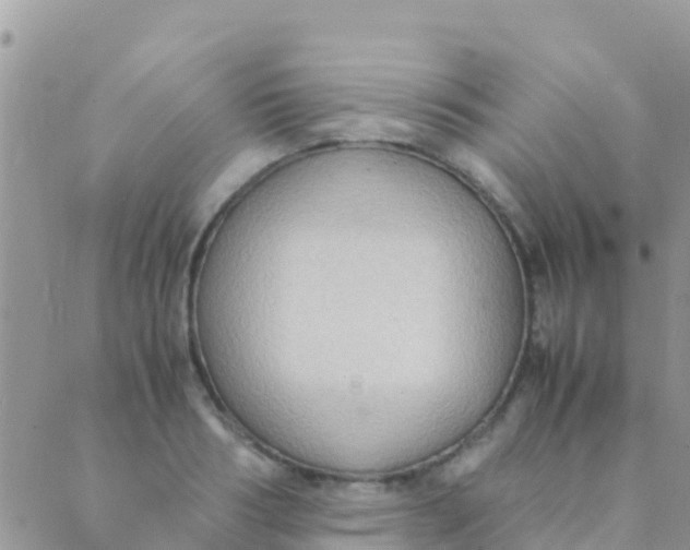 X0000089430986200707061339