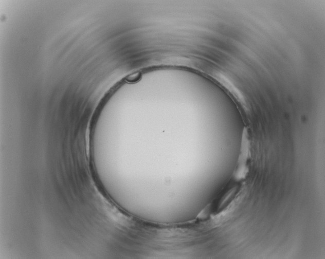 X0000089430988200707061339