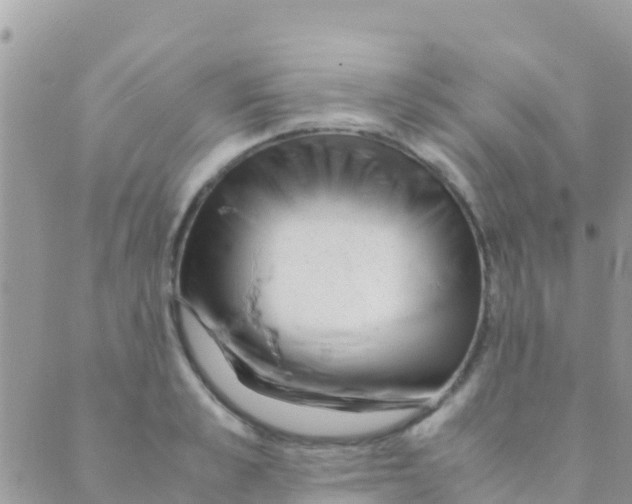 X0000089430989200707061339