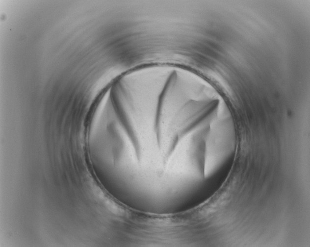 X0000089430990200707061339