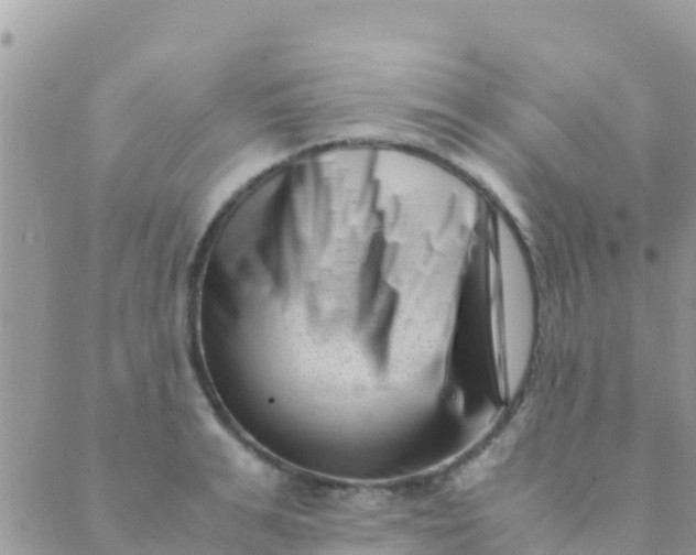 X0000089430991200707061339