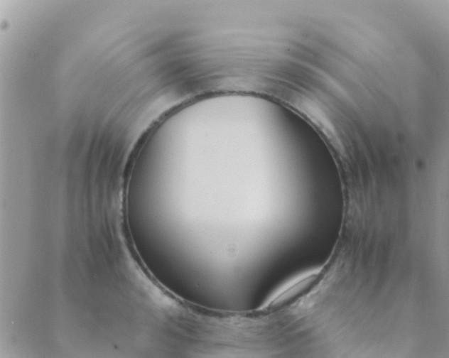 X0000089430992200707061339