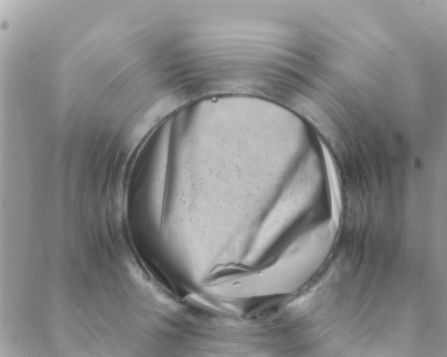 X0000089430994200707061339