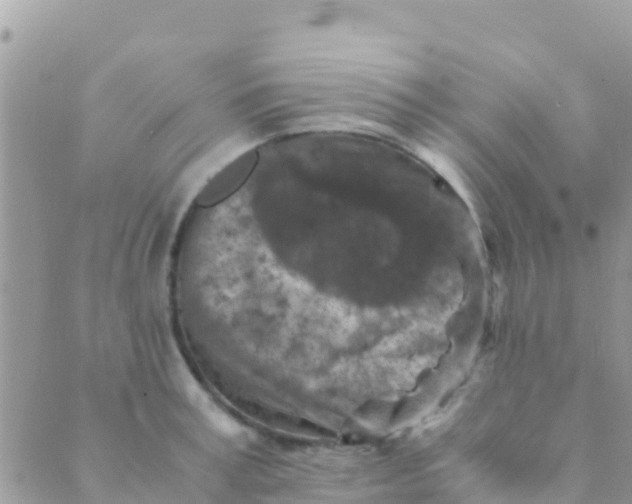 X0000089430995200707061339