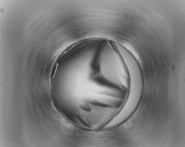 X0000089430996200707061339