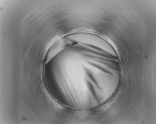 X0000089430997200707061339