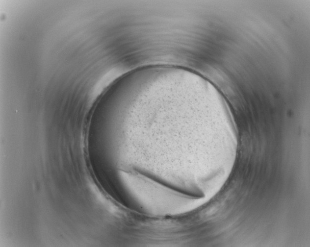 X0000089430998200707061339