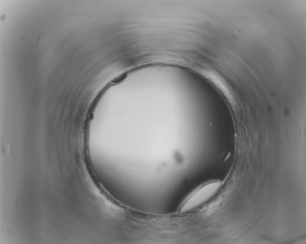 X0000089430999200707061339