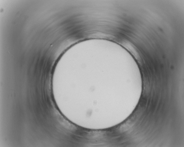 X0000089431000200707061339