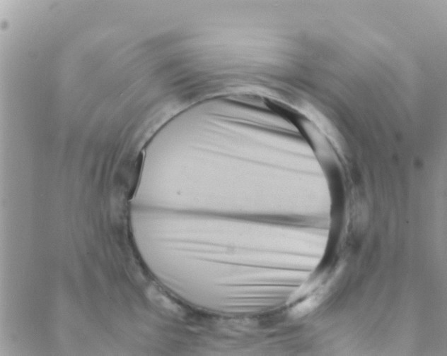 X0000089431001200707061339