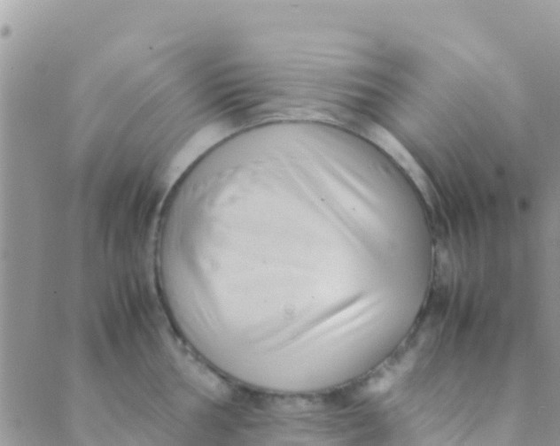 X0000089431002200707061339