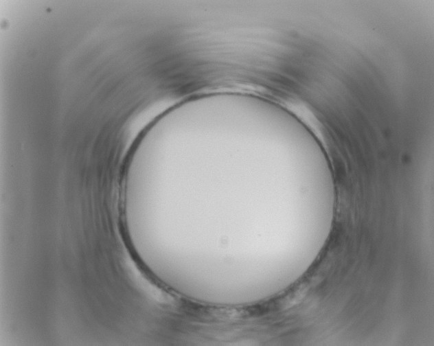 X0000089431003200707061339