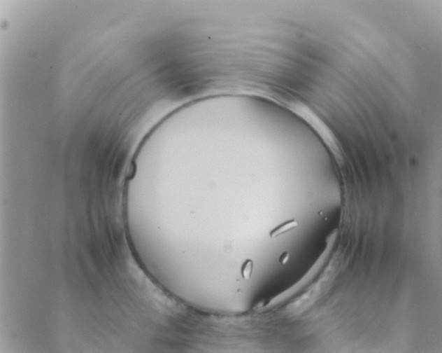 X0000089431004200707061339