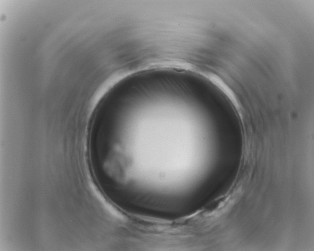 X0000089431005200707061339