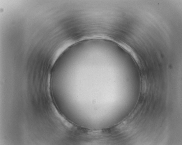 X0000089431006200707061339